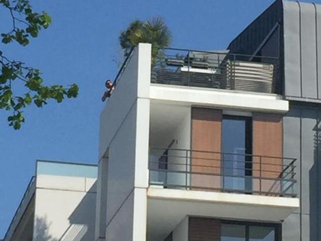 Mantes la Jolie Location Appartement 78