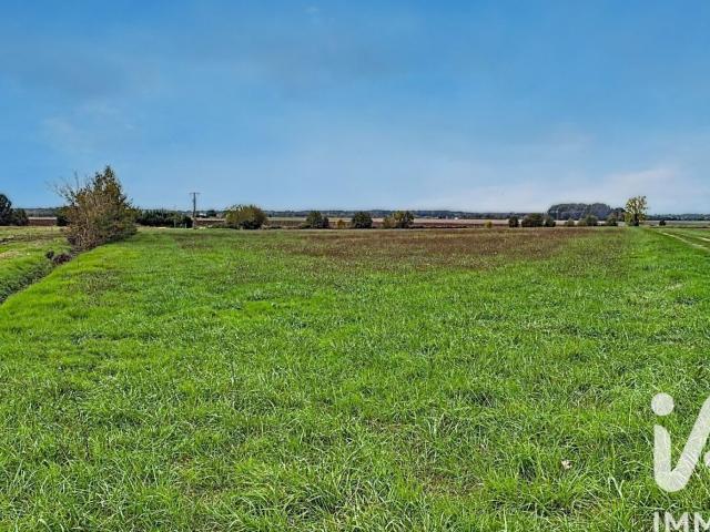 Manthelan Vente Terrain 37