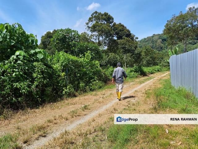Mantin Agricultural land