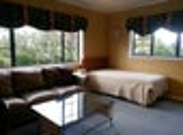 Manukau Heights, 1 bedroom, $350 pw