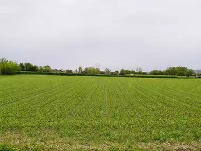 Manziat 01570 Programme neuf terrain neuf à vendre