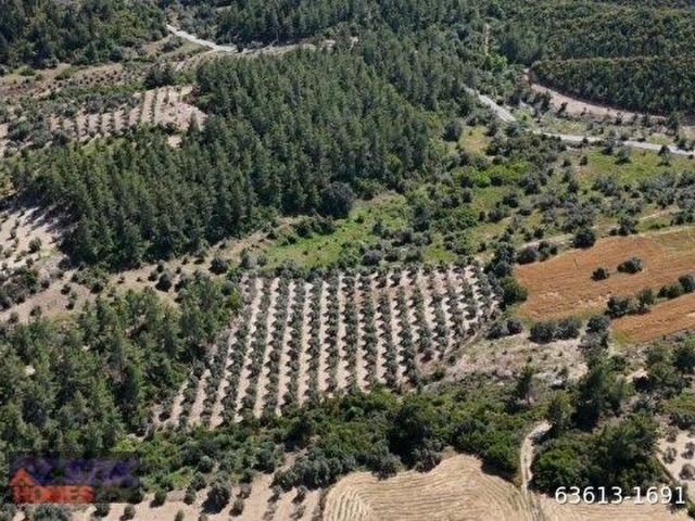 Manavgat Taşağıl Bölgesinde Satılık 7.188 m Arazi
