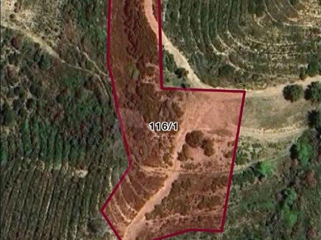 MANAVGAT AŞAĞI IŞIKLARDA 7.776 M2 MÜSTAKİL