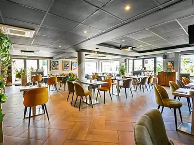 Mandelieu la Napoule 06210 Achat / Vente divers