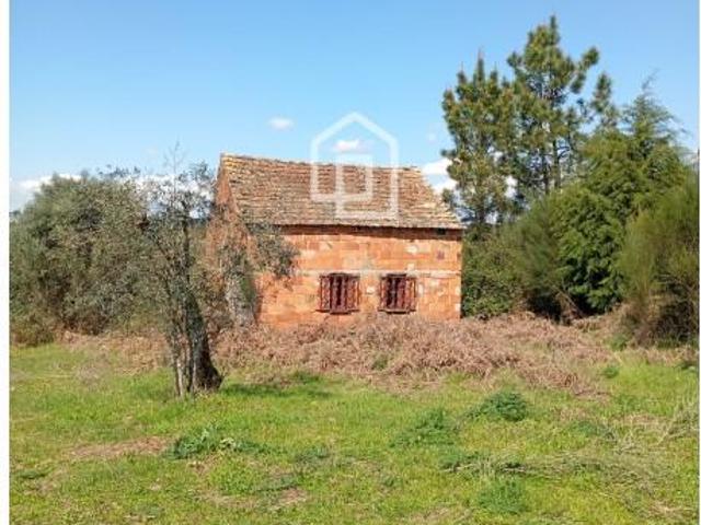 Mangualde Mangualde LS93057804