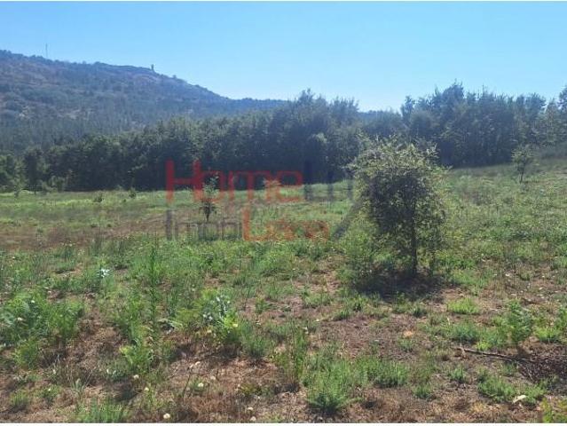 Mangualde Mangualde LS97119652