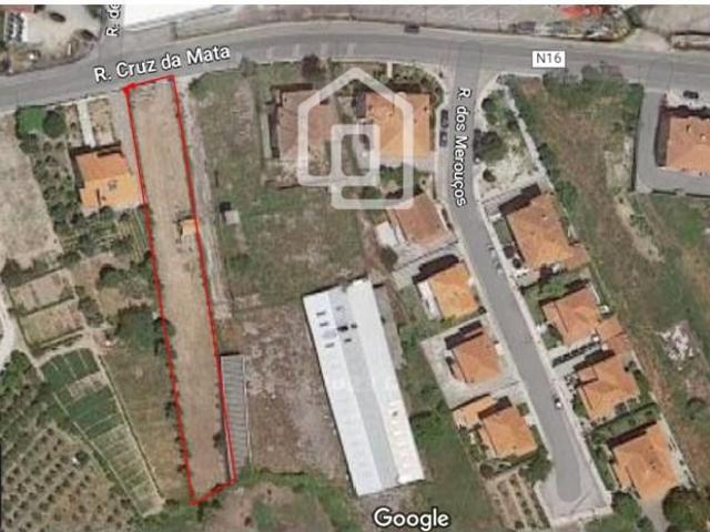 Mangualde Mangualde LS97124288