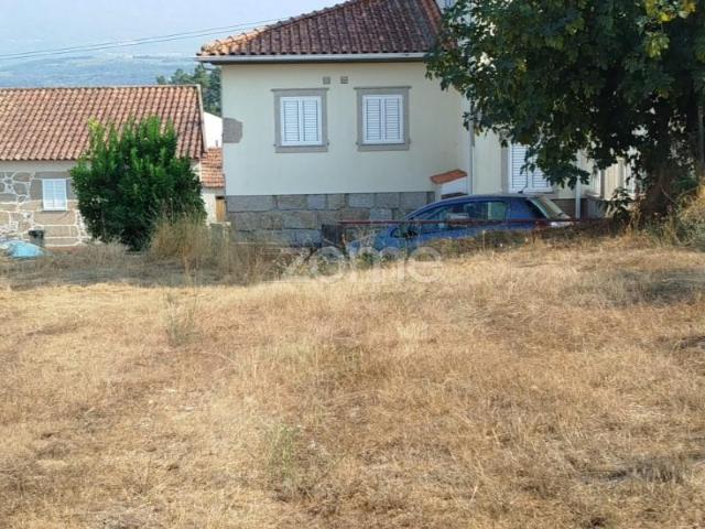 Mangualde Mangualde 100452751
