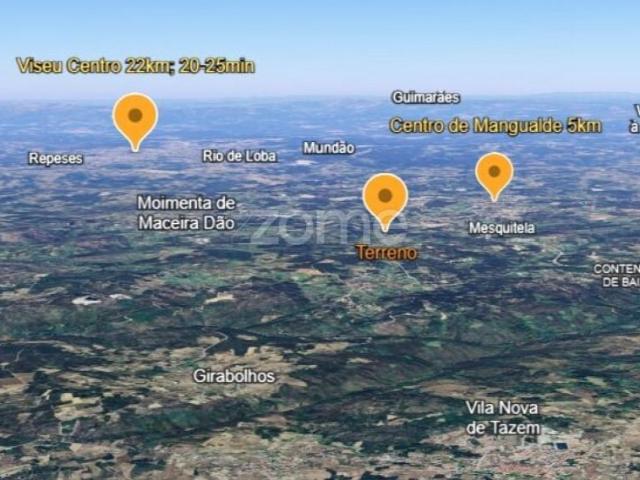 Mangualde Mangualde 102526715