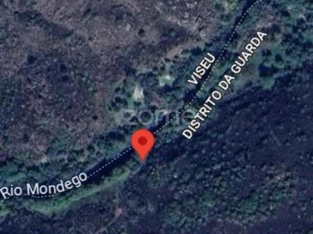 Mangualde Mangualde 92693927
