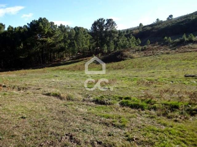 Mangualde Viseu 103653829