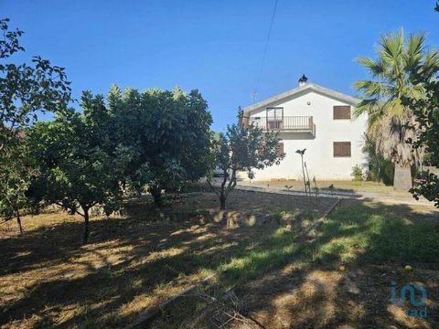 Mangualde Viseu 3530 182 88538050