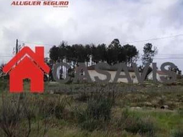 Mangualde Viseu 77495122