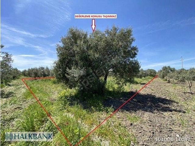 Manisa Akhisar Satılık Arsa