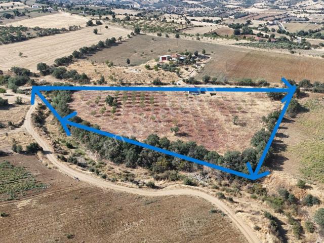 Manisa Kula Bebeklide 11,5 Dönüm Ev Bademlik Çiftlik Su Elektrik