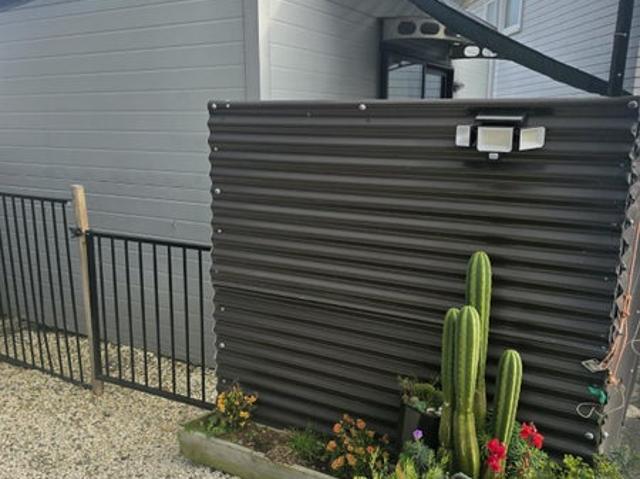 Manly, Studio