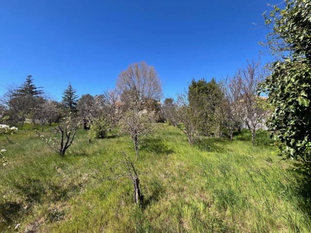 Manosque Vente Terrain 04