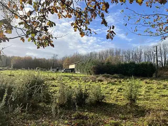 Manot 16500 Achat / Vente terrain