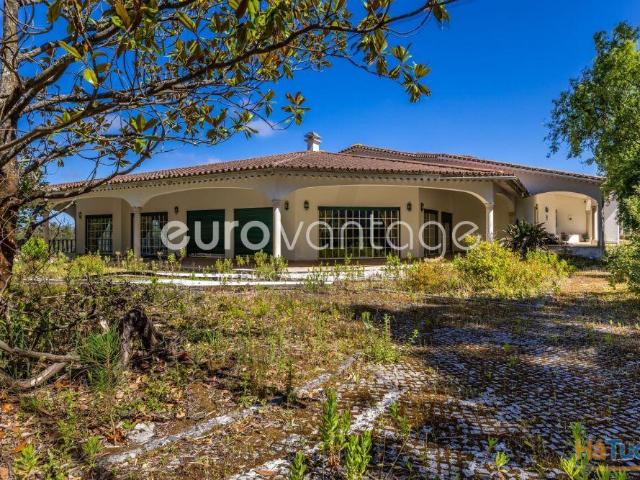 Mansão de Arquitetura Tradicional Portuguesa | Maceira, Leiria | 26084098477
