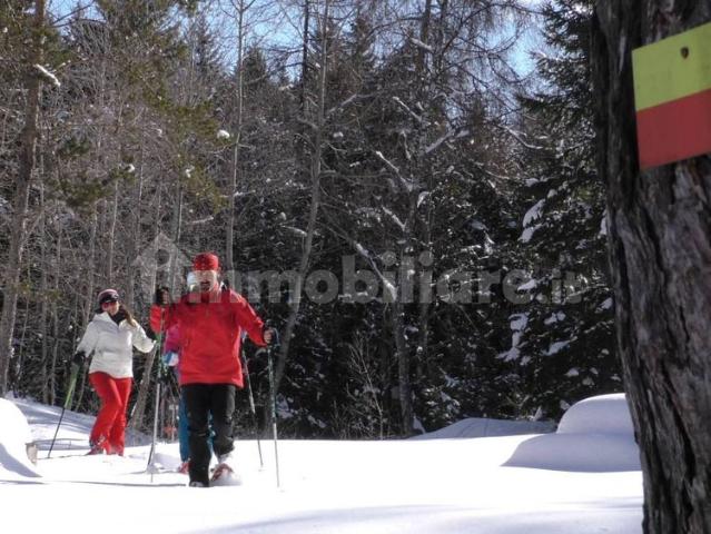 Mansarda via Europa 130, Aprica