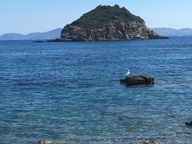 Mansarda in vendita a Cavo Rio Marina in Ottimo composto da 2vani