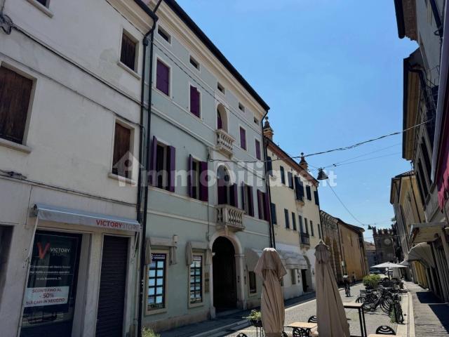 Mansarda piazza Giuseppe Garibaldi 5, Centro Storico, Rovigo