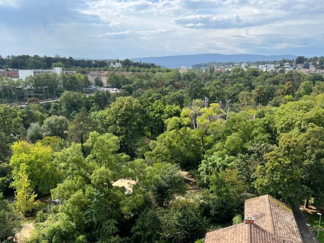 Mansardenwohnung mit attraktivem Weitblick Wohnung W9 | dreamo. Ch