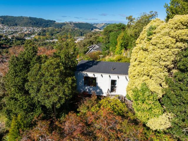 maori hill, 1 bedroom