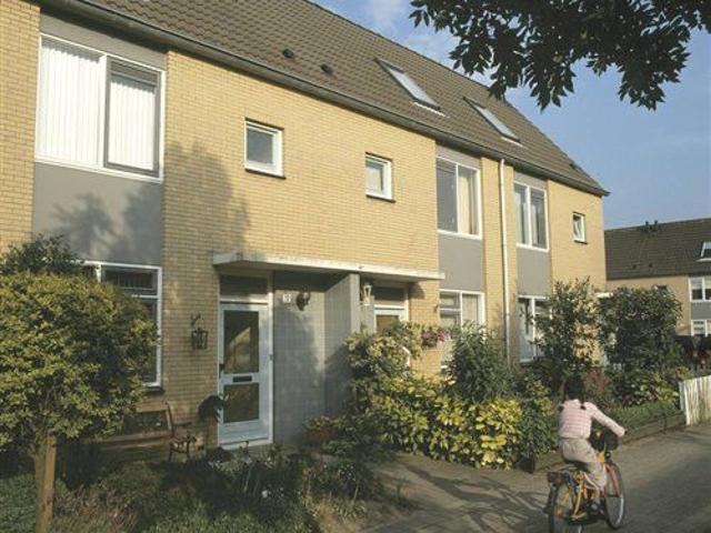 Maartje Den Outerstraat 39 Rotterdam