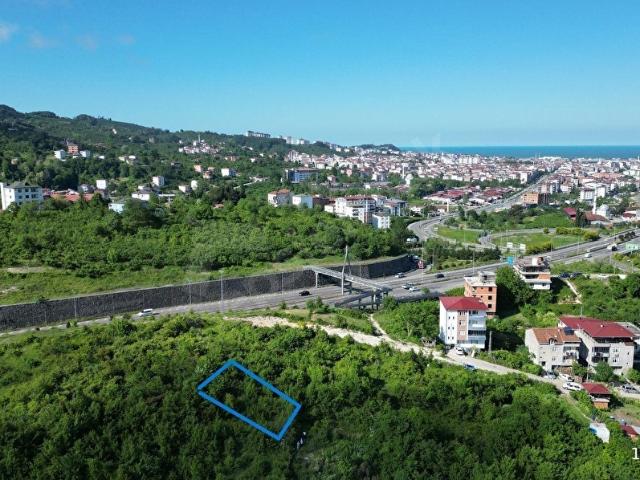 MABEL'DEN ACİLL! HAYVANPAZARI BÖLGESİ MÜSTAKİL ARSA