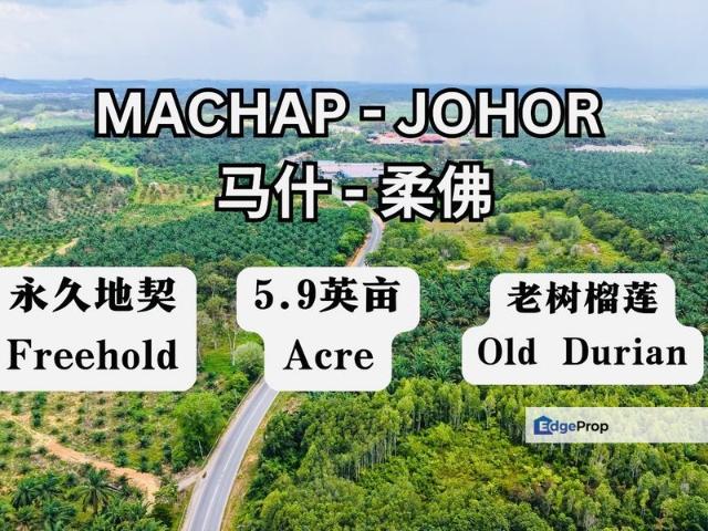 Machap