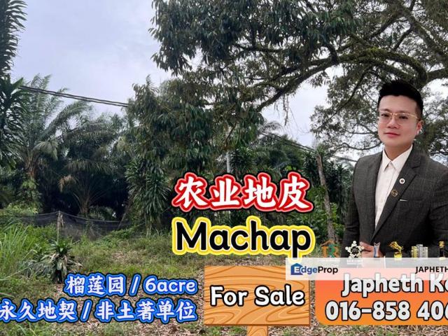 Machap