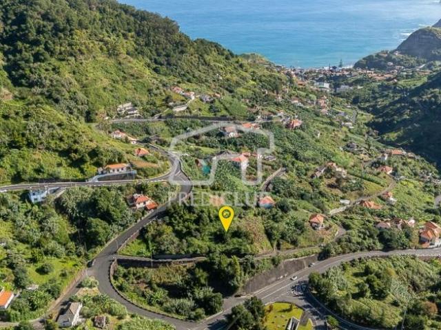 Machico Ilha da Madeira 98663379