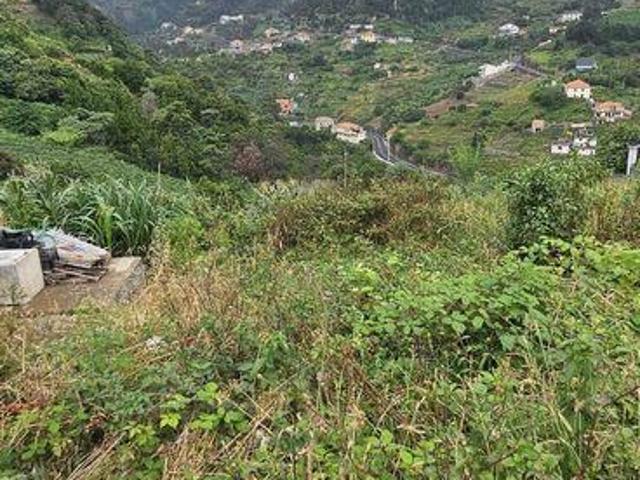 Machico Ilha Da Madeira LS94223786