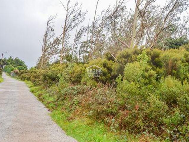 Machico Ilha da Madeira LS96309647