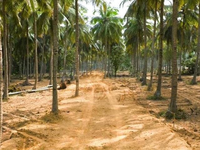 Madurantakam Residential Plot For Sale Chennai