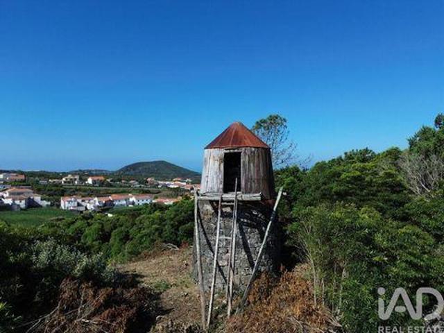 Madalena Ilha do Pico 9950 221 96332066