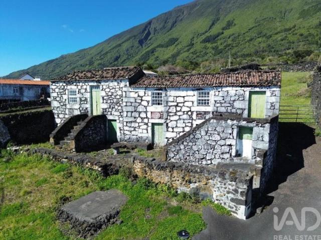 Madalena Madalena 91853296