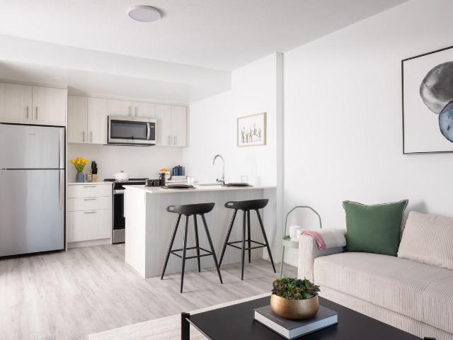 Maddox Cabbagetown 2 Bedroom Apartment for Rent at 201 Apartment Bldg Toronto, ON M5A 3X2 Cabbagetown