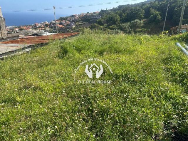 Madeira Machico 9200 LS102658468