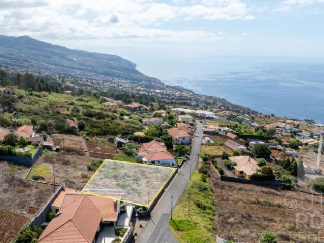 Madeira Calheta 9370 101468591