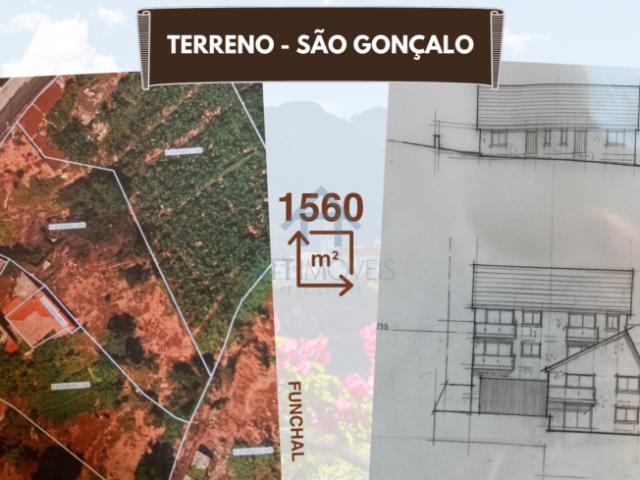 Madeira Funchal 9060 104178949