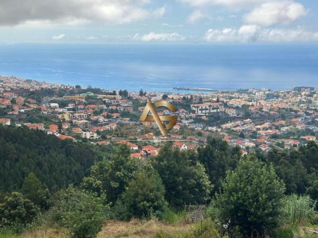 Madeira Funchal 9020 104223437