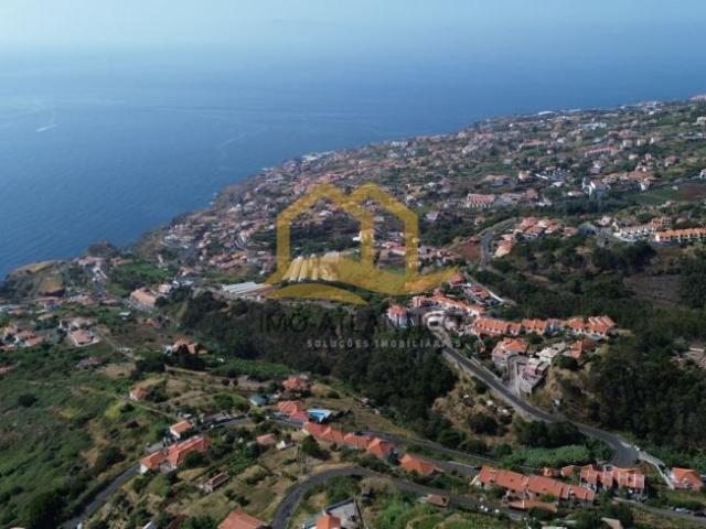 Madeira Santa Cruz 9100 101910599