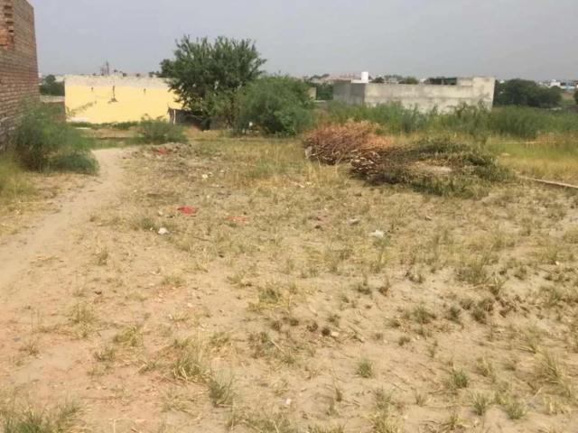 Madina colony plot Nowshera ID 17599
