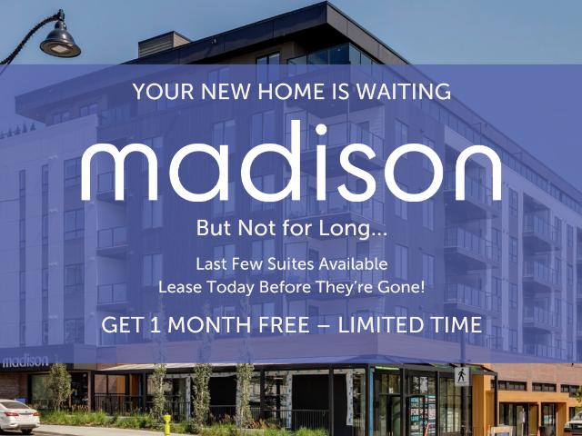 Madison Apartments 2 Jr Bedrooms Apartment [object Promise] for Rent