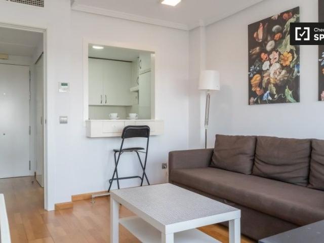 madrid, Community of Madrid 28033