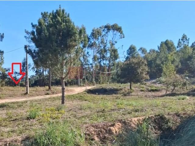 Mafra Ericeira Terreno para moradia com vista sobre o vale
