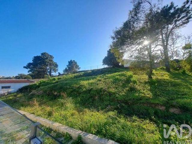 Mafra Lisboa 104686017