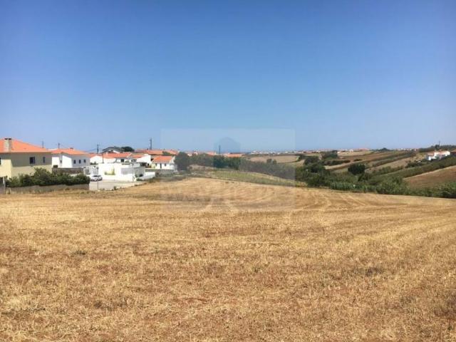 Mafra Lisboa 86007783